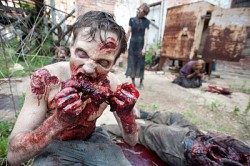 THE WALKING DEAD - Season 2